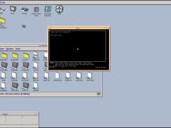 Microsoft Word for Unix