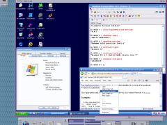 Solaris 9 with a SunPCI card running Windows XP.