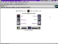 Windows 3.11 with Netscape 2
