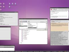 Windows XP with Apple YellowBox